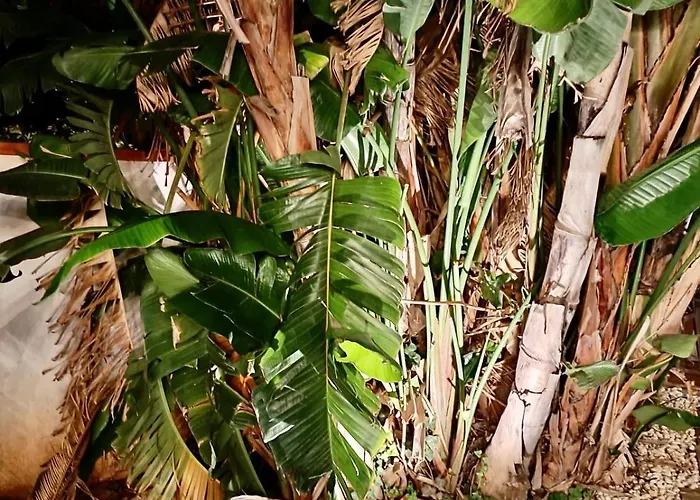 Villa Antonella Rooms Mondello